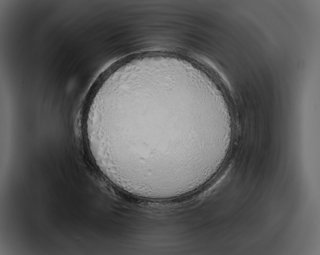 X0000086780875200705111753