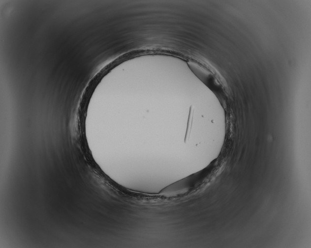 X0000086780876200705111753