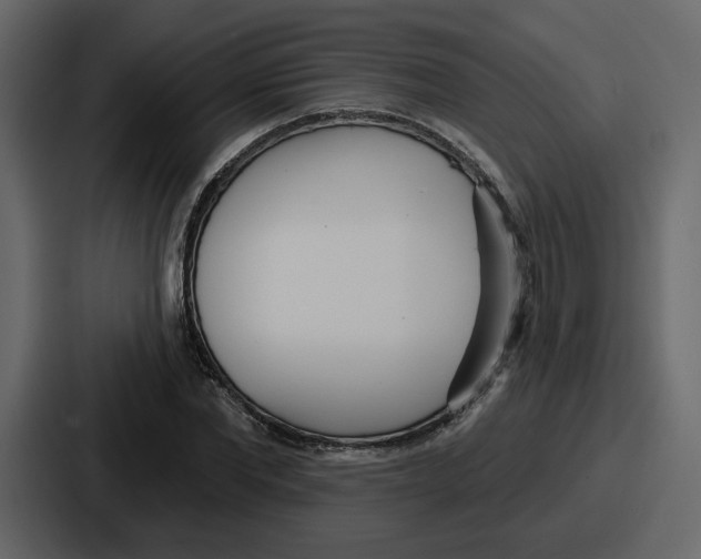 X0000086780877200705111753