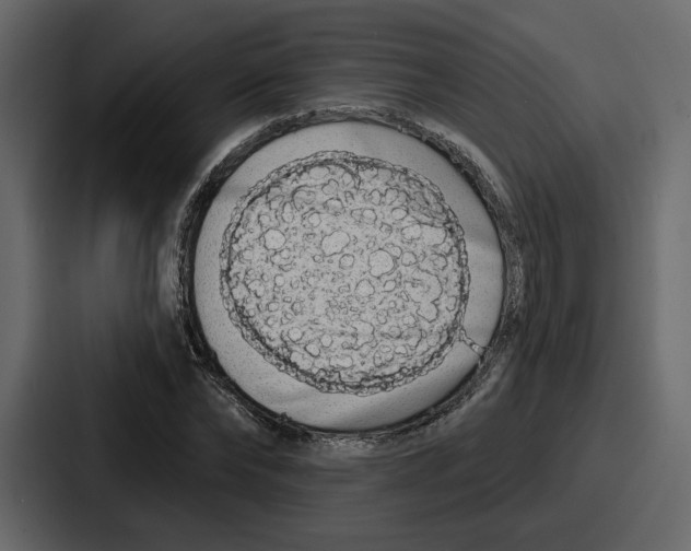 X0000086780878200705111753