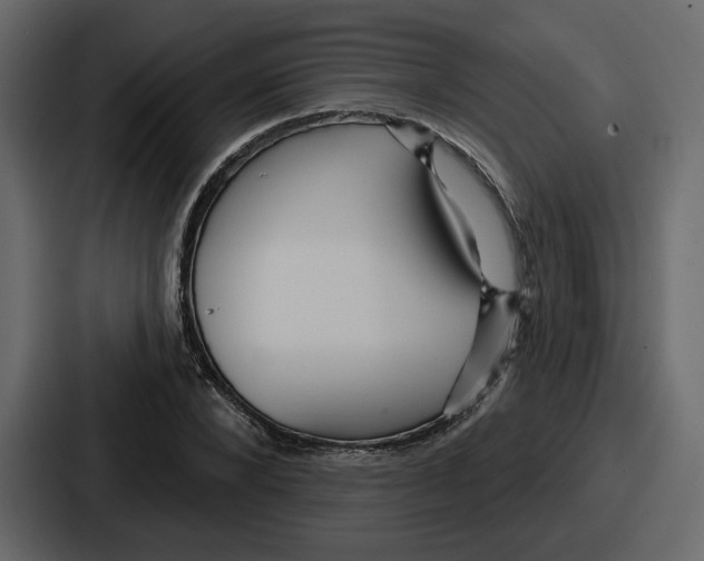 X0000086780880200705111753