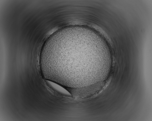 X0000086780881200705111753