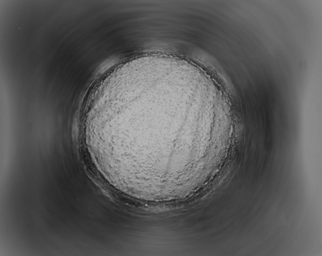 X0000086780882200705111753