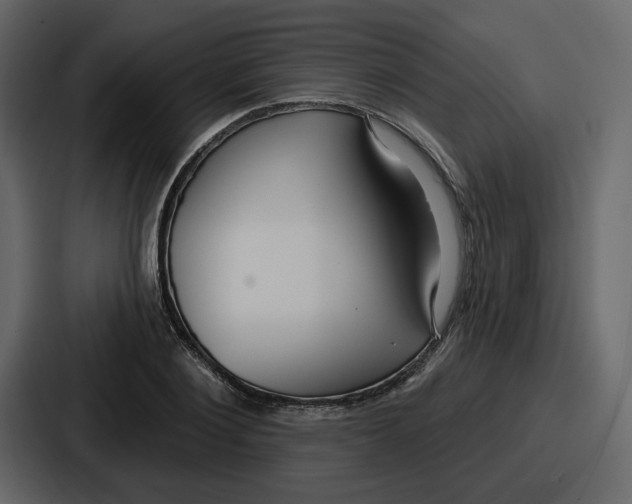 X0000086780884200705111753