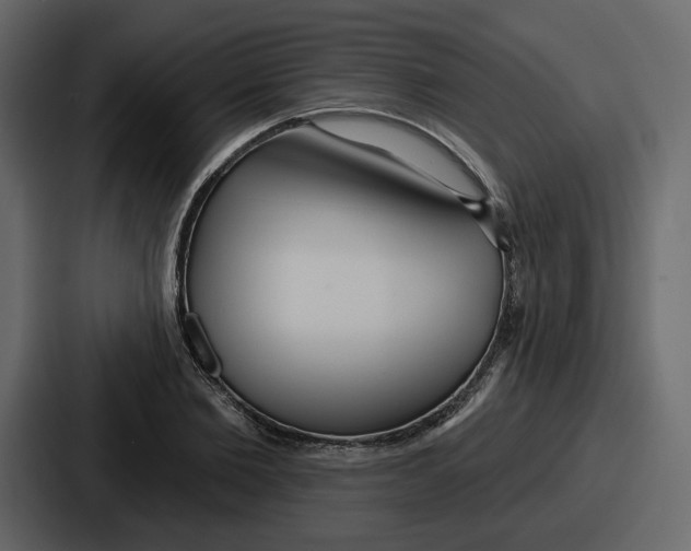 X0000086780885200705111753