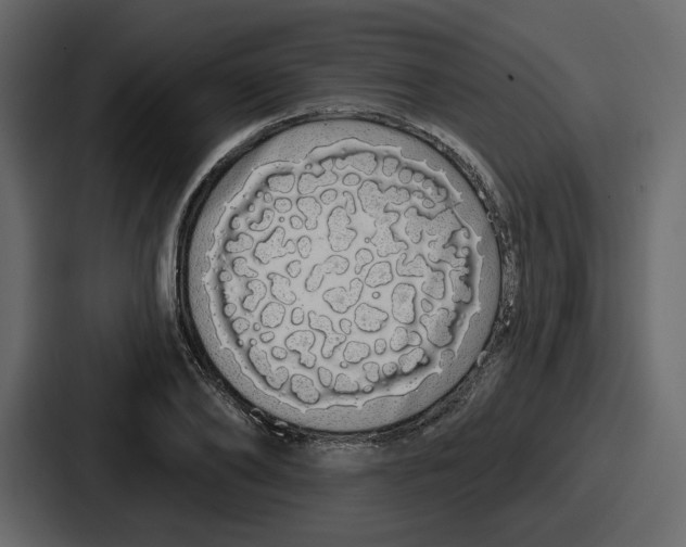 X0000086780886200705111753