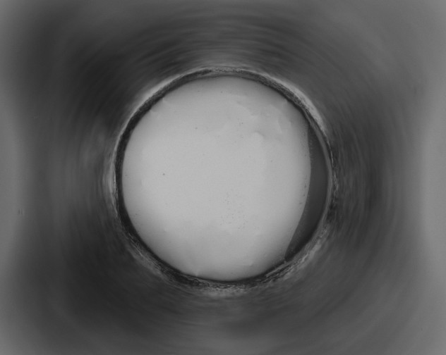 X0000086780887200705111753