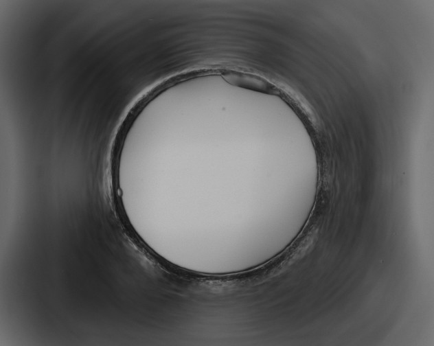 X0000086780888200705111753