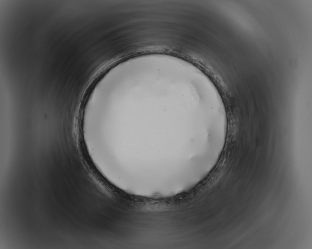 X0000086780890200705111753