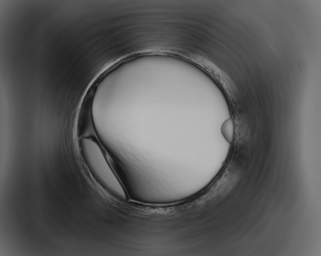 X0000086780892200705111753