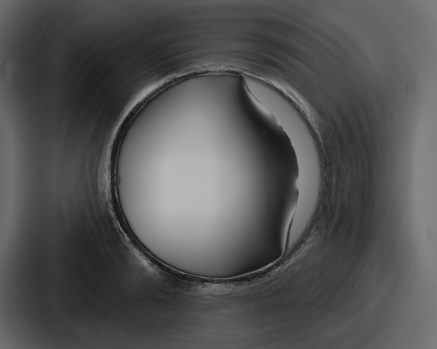 X0000086780894200705111753