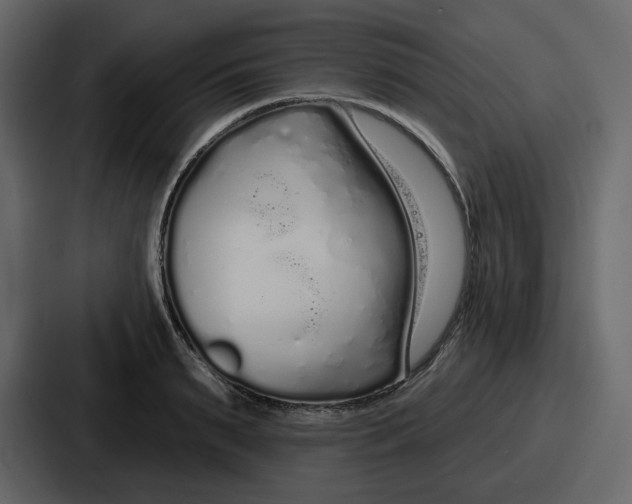 X0000086780895200705111753