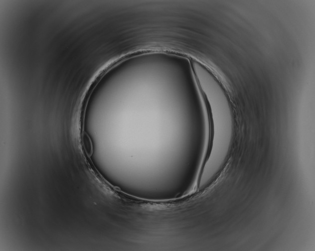 X0000086780896200705111753