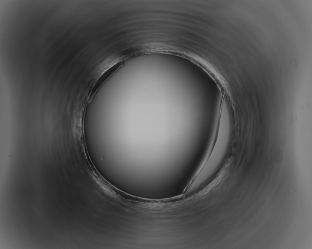 X0000086780897200705111752