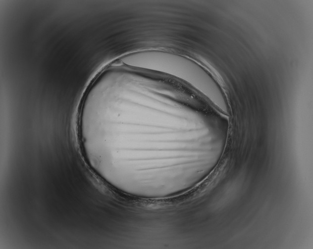 X0000086780899200705111752