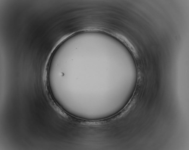 X0000086780900200705111752