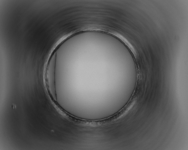 X0000086780901200705111752