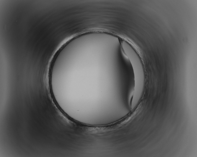 X0000086780902200705111752