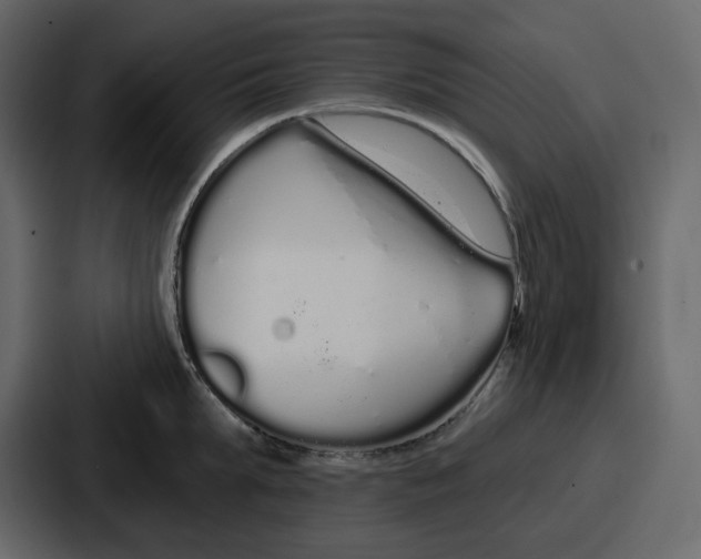 X0000086780903200705111752