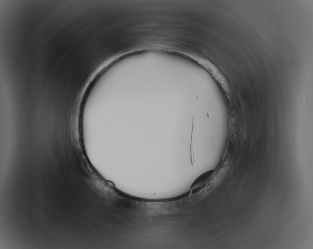 X0000086780904200705111752