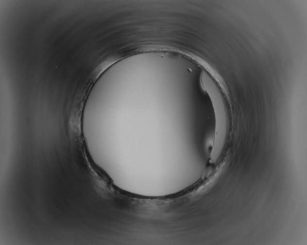 X0000086780905200705111752