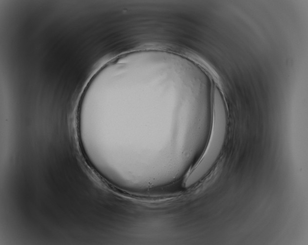 X0000086780907200705111752