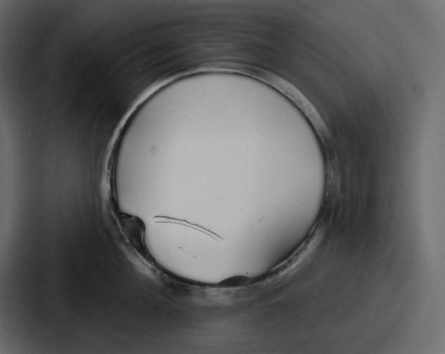 X0000086780908200705111752