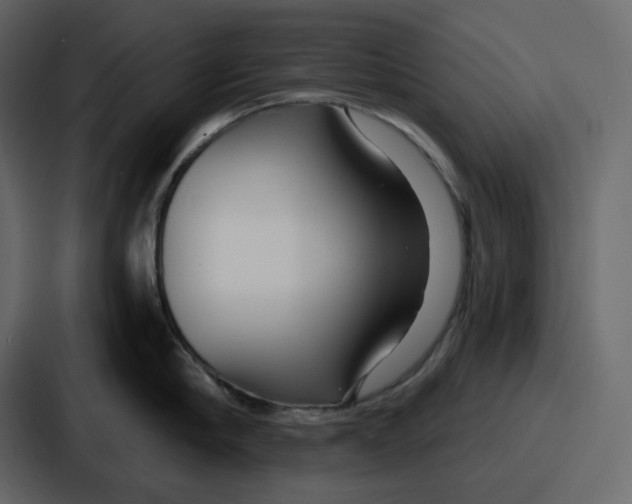 X0000086780910200705111752