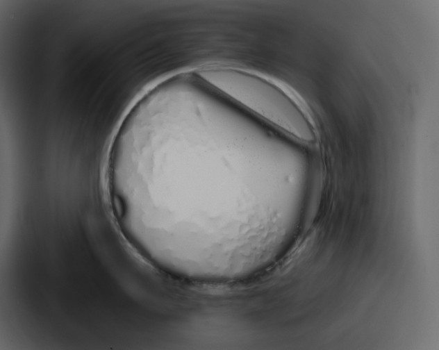 X0000086780911200705111752