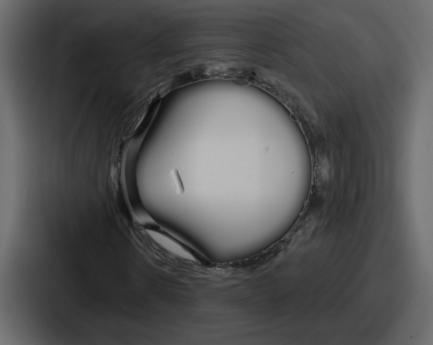 X0000086780914200705111752