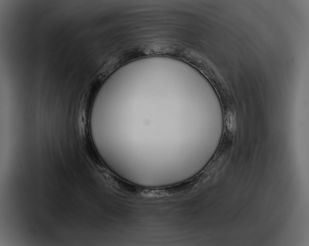 X0000086780915200705111752