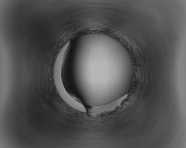 X0000086780916200705111752