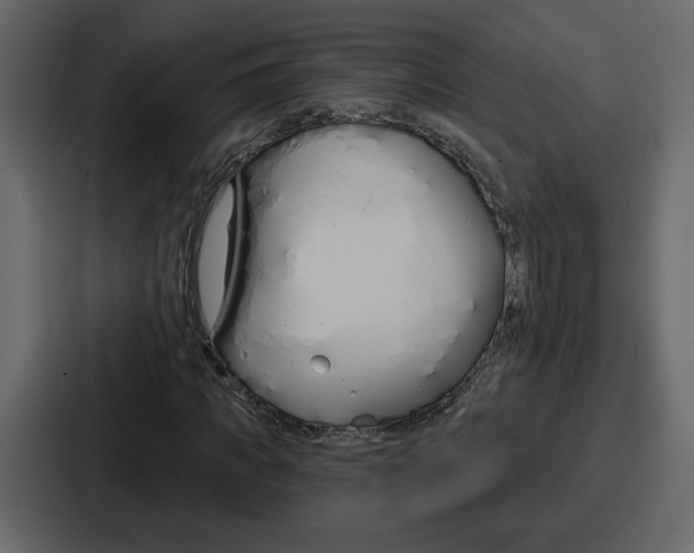 X0000086780917200705111752