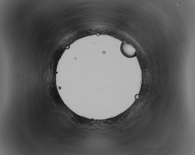 X0000086780918200705111752