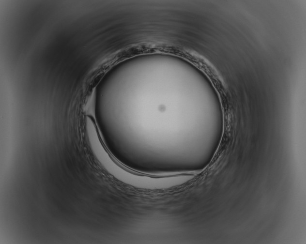 X0000086780919200705111752