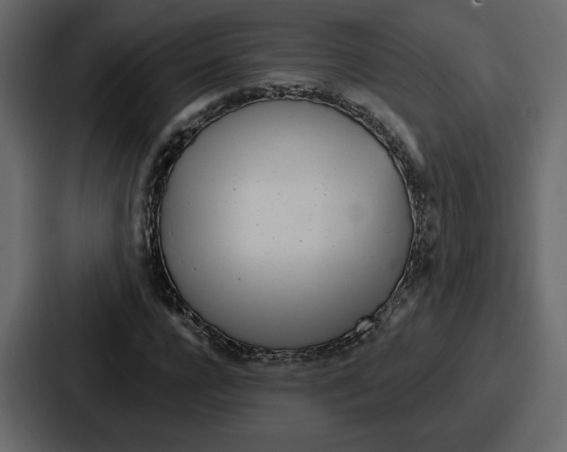 X0000086780920200705111752