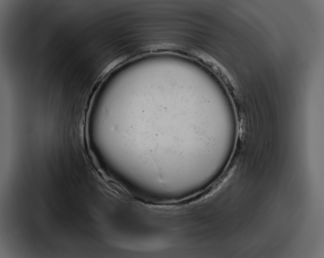 X0000086780921200705111752