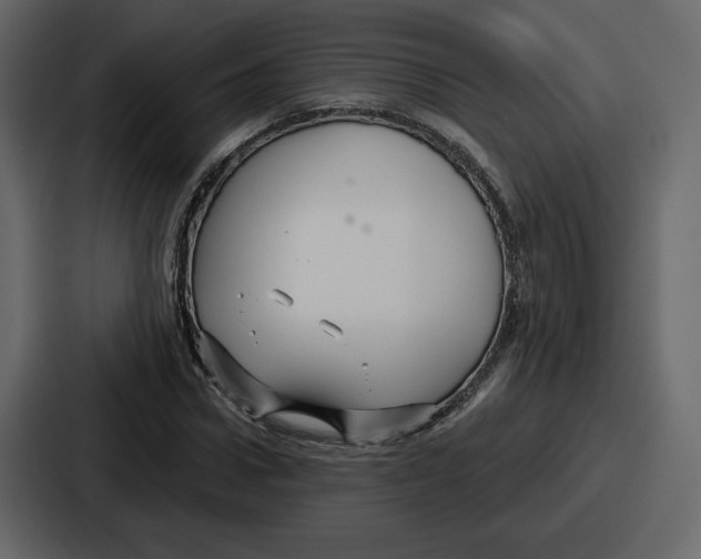 X0000086780922200705111752