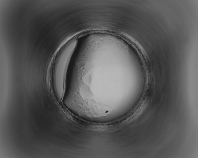 X0000086780925200705111752