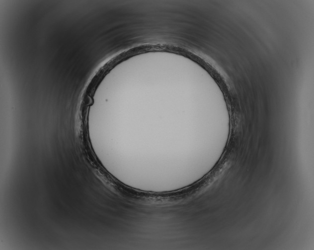 X0000086780927200705111752