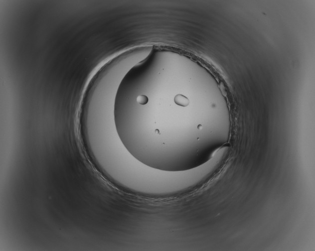 X0000086780928200705111752