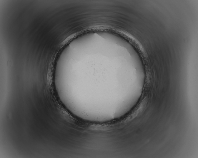 X0000086780929200705111752