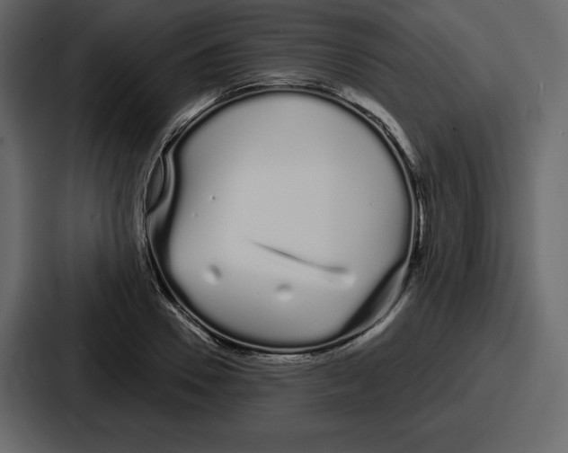 X0000086780930200705111752