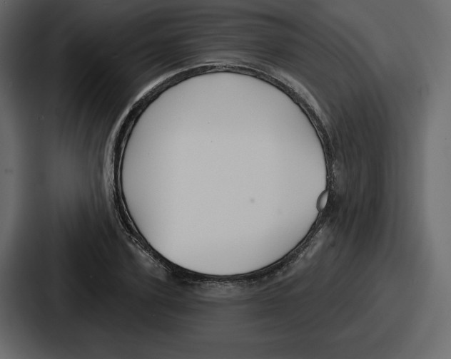 X0000086780931200705111752