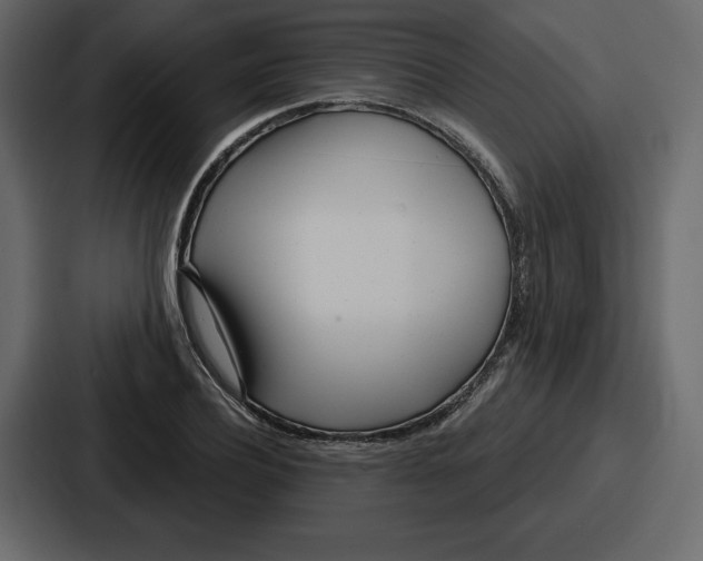 X0000086780932200705111752