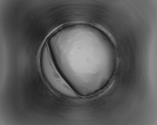 X0000086780933200705111752