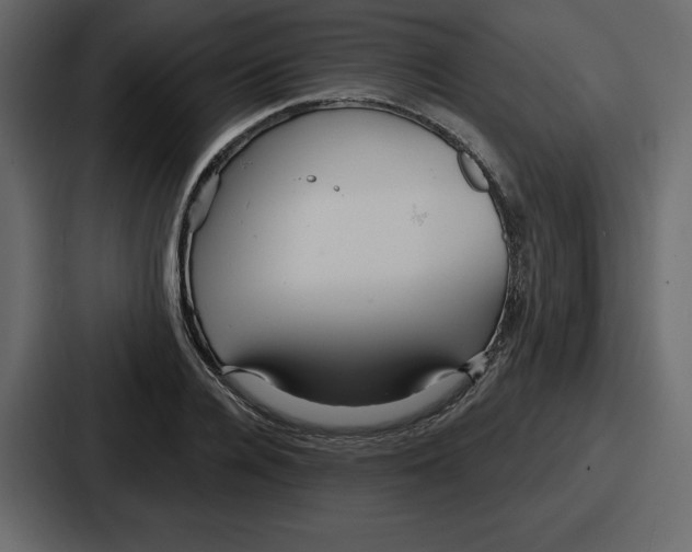 X0000086780936200705111752