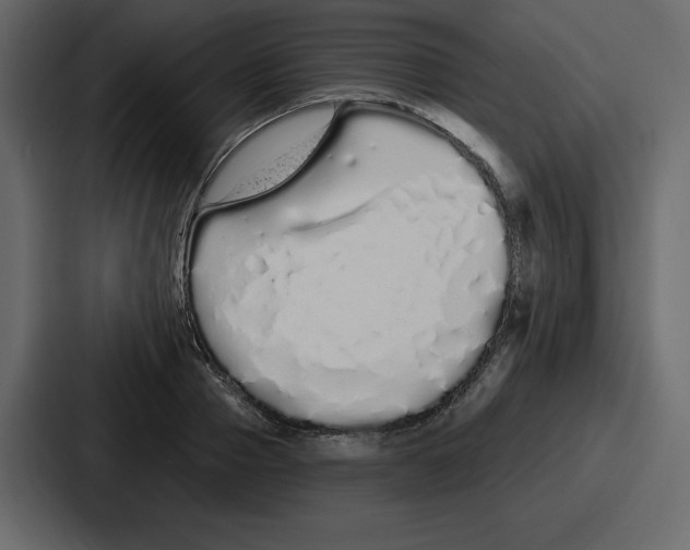 X0000086780937200705111752