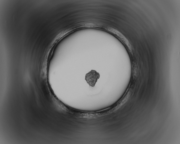 X0000086780938200705111752