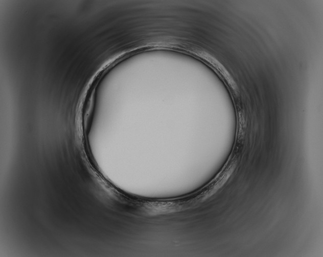 X0000086780939200705111752